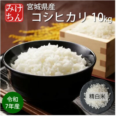 令和7年産 宮城県産コシヒカリ 精米10kg