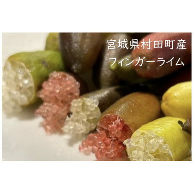 [宮城県村田町産]フィンガーライムMIX 100g×1パック[配送不可地域:離島]