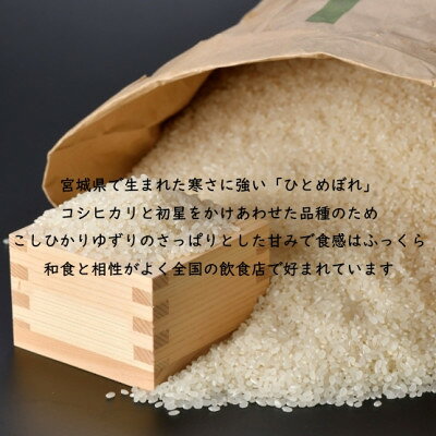 【ふるさと納税】【毎月定期便】宮城県村田町産ひとめぼれ　玄米10kg(10kg×1)全3回【4082667】