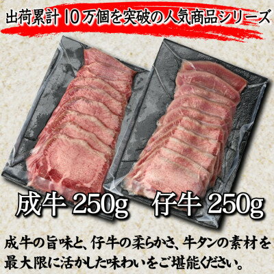 【ふるさと納税】大人気製品シリーズをお求めやすく!はらからの逸品　牛たん　500g　安心の人気製品!【配送不可地域：離島】【1358593】