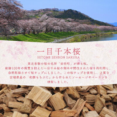 【ふるさと納税】一目千本桜燻製ベーコン&ソーセージダブルセット【配送不可地域：離島】【1412880】