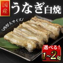 【ふるさと納税】職人手焼き 国産うなぎ白焼 1尾~2尾 選べる容量 肉厚 大サイズ 特大 鰻 ウナギ 白焼 【逢隈亭】sh100・ sh128