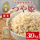 【ふるさと納税】<先行予約!2025年12月から順次発送予定>【令和7年産 新米】柴田町産 つや姫 <玄米> 30kg お米 おこめ 米 コメ 白米 つやひめ ご飯 ごはん おにぎり 宮城米 新米 令和7年産 お弁当 【下名生ファーム】 sh124