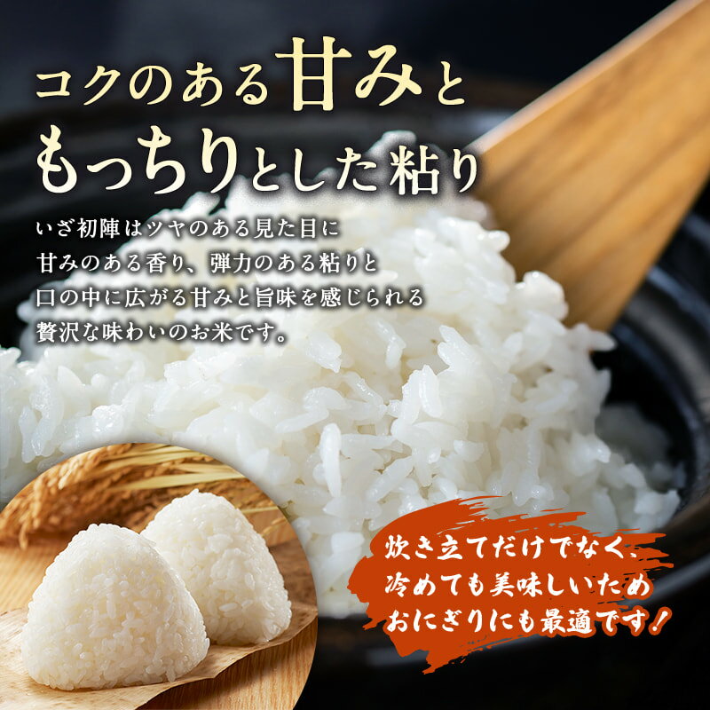 【ふるさと納税】特別栽培米 令和5年丸森町産 コシヒカリ｜ いざ初陣 15kg（1kg×15個） 新米 減農薬 東北 宮城 高級 ブランド 米 送料無料 祝い 贈答 入学