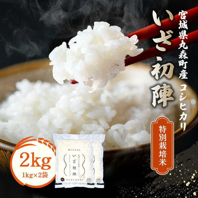 特別栽培米 令和5年丸森町産 コシヒカリ| いざ初陣 2kg(1kg×2個) 新米 減農薬 東北 宮城 高級 ブランド 米 送料無料 祝い 贈答 入学