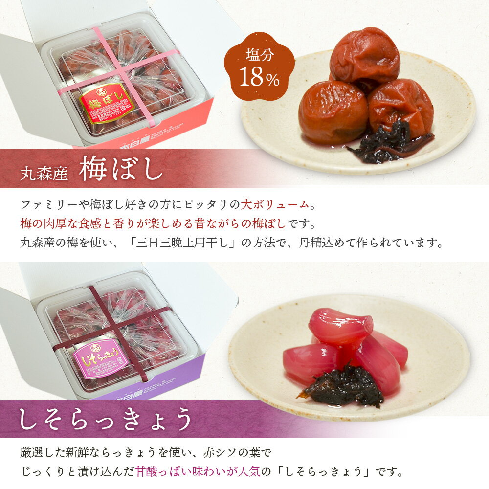 【ふるさと納税】大満足　お漬物2種セット　梅ぼし　しそらっきょう　食べ比べ | お漬物 漬物 詰め合わせ 梅ぼし 梅干し うめぼし しそらっきょう らっきょう 食べ比べ 肉厚 昔ながら 甘酸っぱい 赤シソ シソ おつまみ ご飯のお供 お取り寄せ 宮城県 丸森町 丸森【02104】