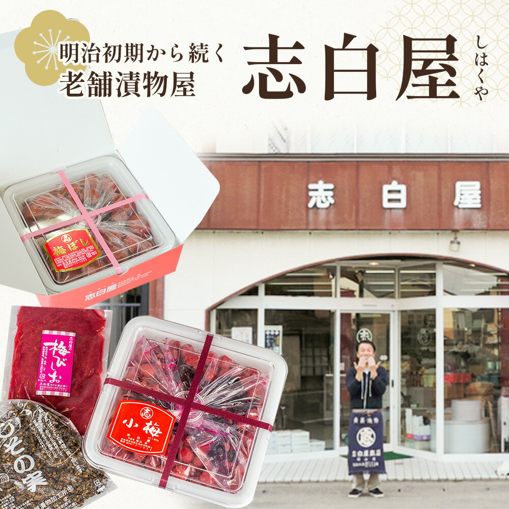 【ふるさと納税】大満足　お漬物2種セット　梅ぼし　しそらっきょう　食べ比べ | お漬物 漬物 詰め合わせ 梅ぼし 梅干し うめぼし しそらっきょう らっきょう 食べ比べ 肉厚 昔ながら 甘酸っぱい 赤シソ シソ おつまみ ご飯のお供 お取り寄せ 宮城県 丸森町 丸森【02104】