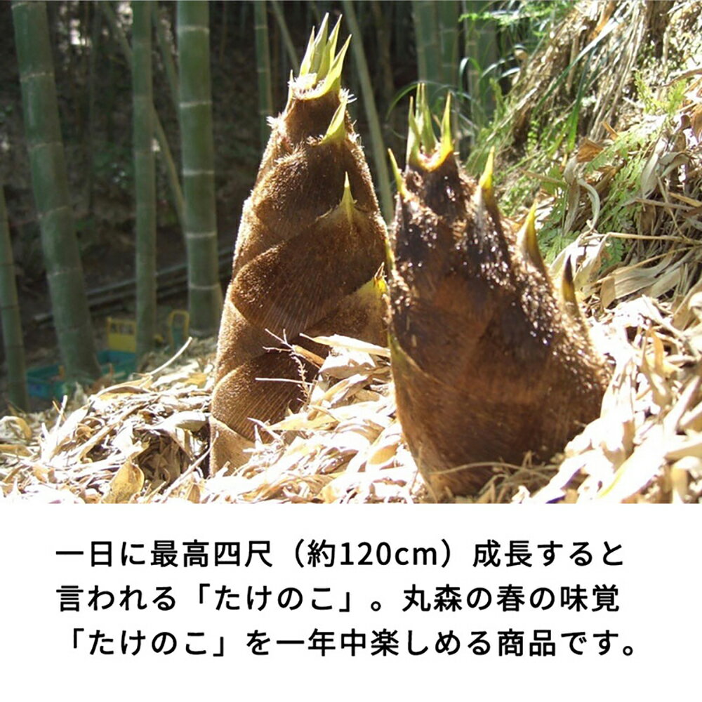 宮城県丸森町の画像2