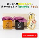 【ふるさと納税】可愛らしい形はギフトにもピッタリ! 電球はちみつと定番はちみつ2種セット|はちみつ ハチミツ 2種 セット 電球はちみつ そば なつの野原 震災...