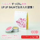 【ふるさと納税】リップバーム ×3個 スキンケア リップ クリーム 美容 コスメ 化粧【21108】