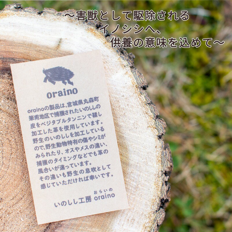 宮城県丸森町の画像2