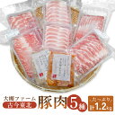 【ふるさと納税】【古今東北】 丸森町大槻ファーム 豚肉5種類セット(計1.2kg)丸森町 古今東北 大槻ファーム 豚肉セット 1.2kg SPF豚 しもふりレッ...