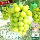 【ふるさと納税】【2025年先行予約】《2025年10月上旬〜11月下旬出荷》 宮城県丸森町産 シャインマスカット 1房(1房 600g以上)|宮城県 宮城 丸...