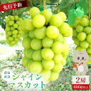 【ふるさと納税】【2025年先行予約】 《2025年10月上旬〜11月下旬出荷》 宮城県丸森町産 シャインマスカット 2房(1房 600g以上)|宮城県 宮城 ...