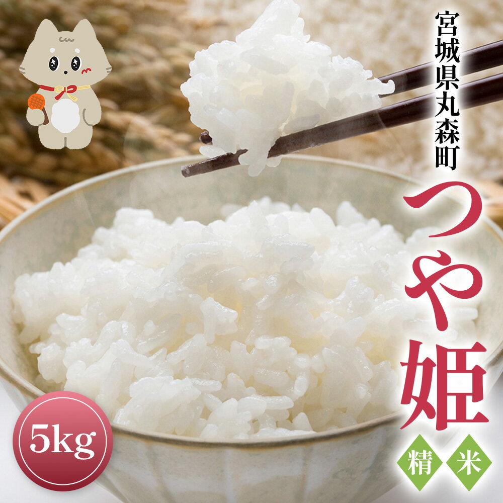 【ふるさと納税】令和7年産 宮城県丸森町 つや姫 精米 5kg | ふるさと納税 宮城県 丸森町 丸森 つや姫 白米 精米 5kg 宮城米 米袋 銘柄 ブランド...