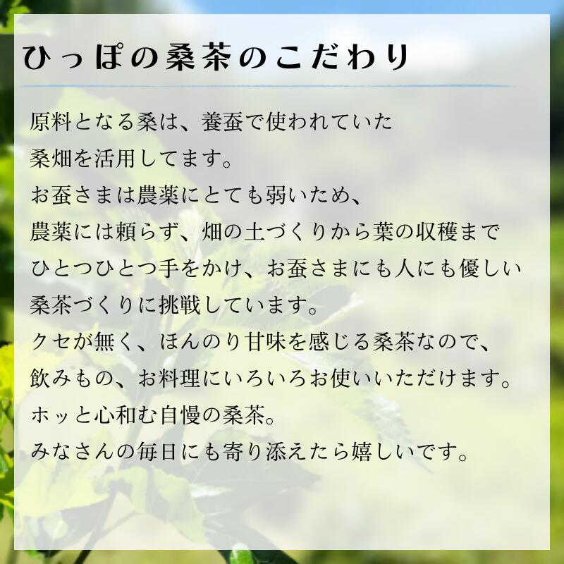 【ふるさと納税】現代人の不足しがちな栄養補給に！ ひっぽの桑茶10袋セット｜お茶 ノンカフェイン パウダー 健康 美容 糖質 ヘルシー ダイエット ビューティー キレイ マルベリー mulberry tea