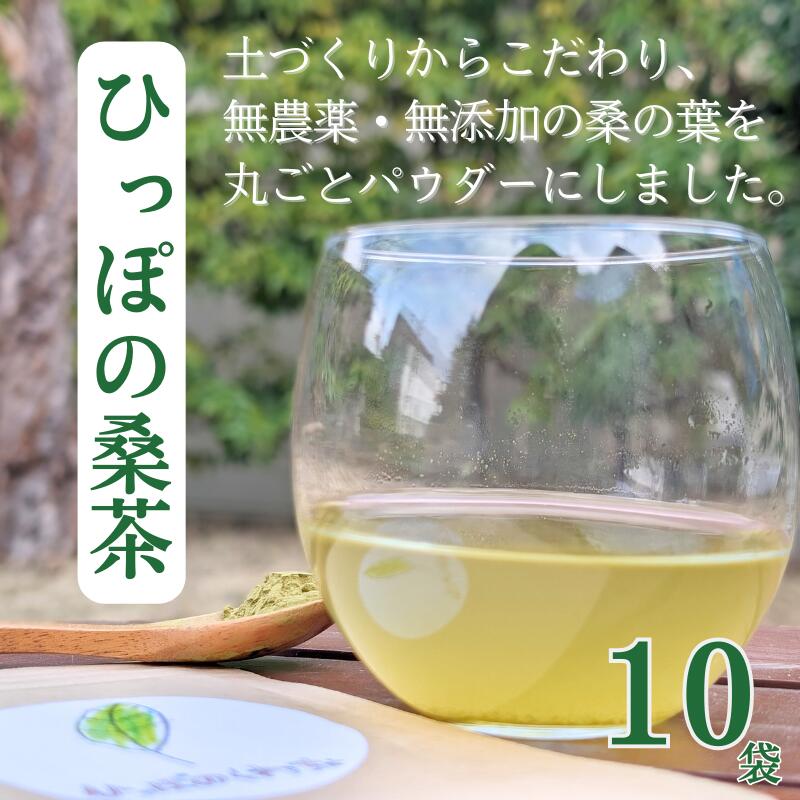 【ふるさと納税】現代人の不足しがちな栄養補給に！ ひっぽの桑茶10袋セット｜お茶 ノンカフェイン パウダー 健康 美容 糖質 ヘルシー ダイエット ビューティー キレイ マルベリー mulberry tea