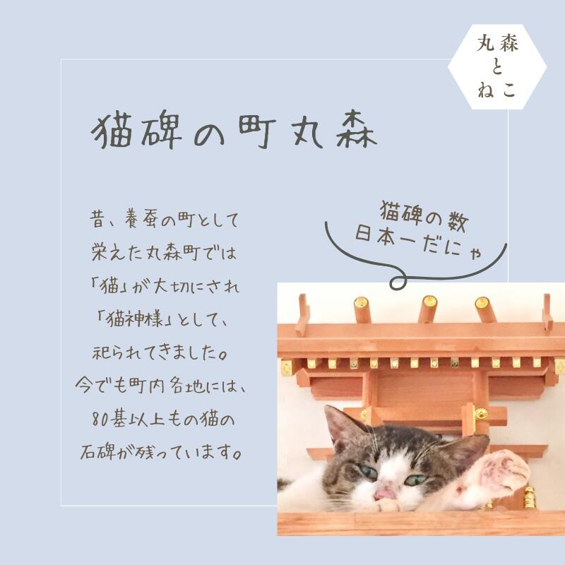 【ふるさと納税】猫好きさんにはたまらない♪猫神様のシフォンパンケーキ12個セット（3種×4） ｜ねこ 猫 チョコ キャラメル カスタード お菓子 デザート スイーツ 冷凍 2