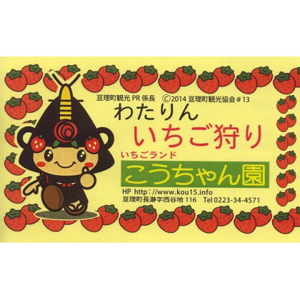 【 こうちゃん いちご園 】3月〜 いちご狩り スタート!!大人2名分 【チケット】 お届け:2021年3月上旬頃から2021年4月中旬頃まで