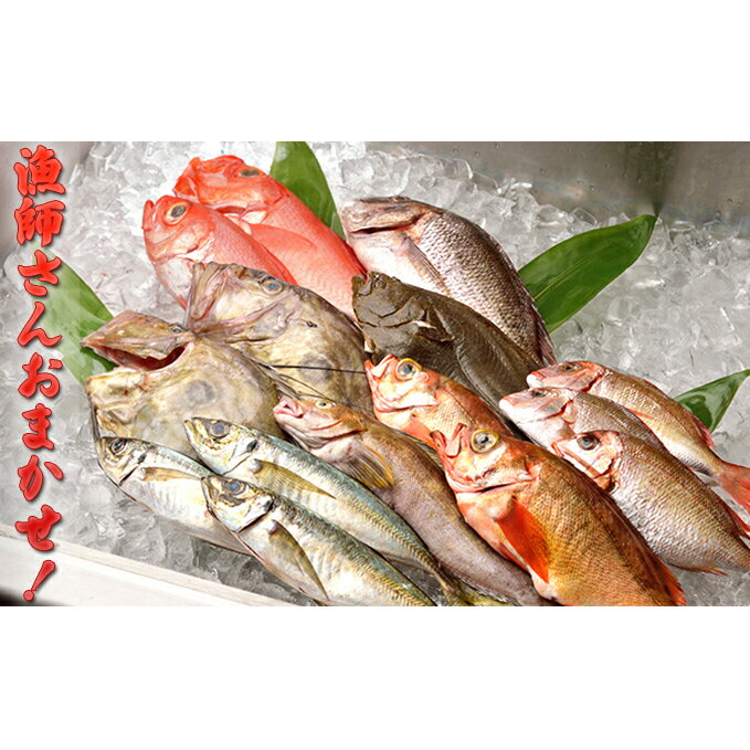 [光勝丸]漁師さんのおまかせ鮮魚セット [魚介類]