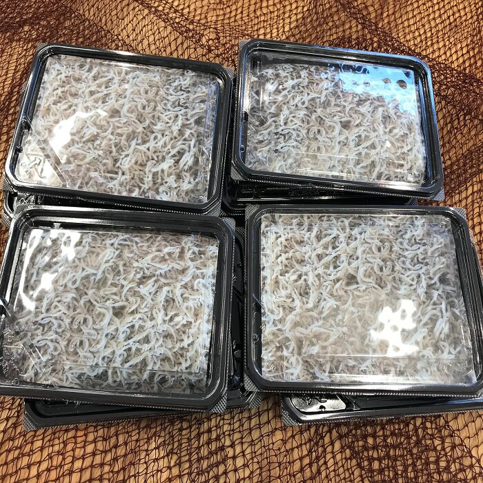 釜揚げしらす(冷凍)80g×8パック[あらはま海苔] 魚貝類