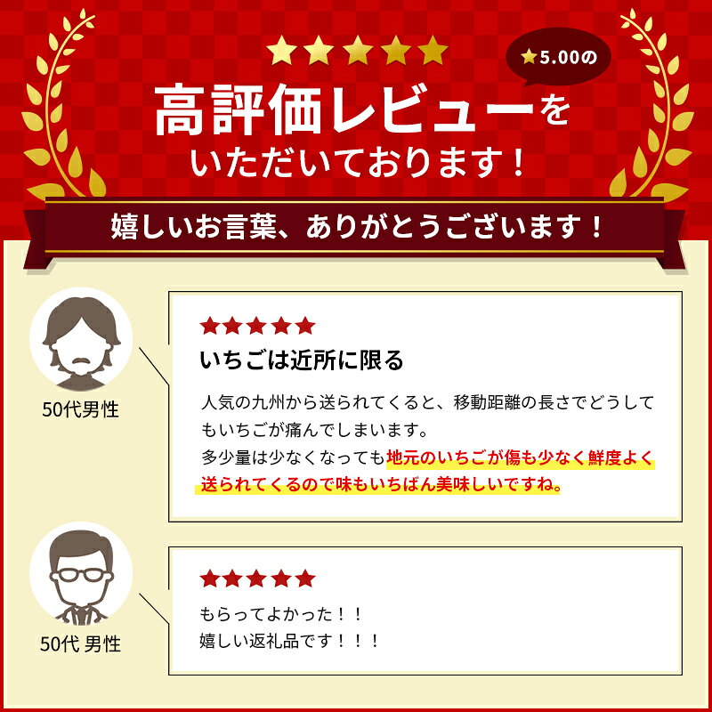 【ふるさと納税】果物 【選べる配送月・パック数】いちご 250g× セット 亘理町のいちご もういっこ 宮城県亘理町産 先行受付中 フルーツ 苺 イチゴ オンライン決済限定　お届け：2027年1月8日頃から3月下旬頃まで f043613-watari-10000258 宮城県亘理町 サンプル画像3