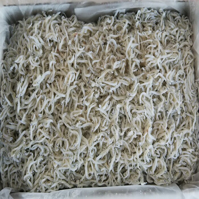 釜揚げしらす（冷凍）1kg＜あらはま海苔＞ 魚貝類