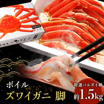 【 カニ 】ボイル 特選バルダイ種 ずわいがに 脚 1.5kg 化粧箱入 ＜ マルヤ水産 ＞ かに 蟹　【ずわい蟹・ずわいガニ・ズワイガニ・蟹・カニ・足】