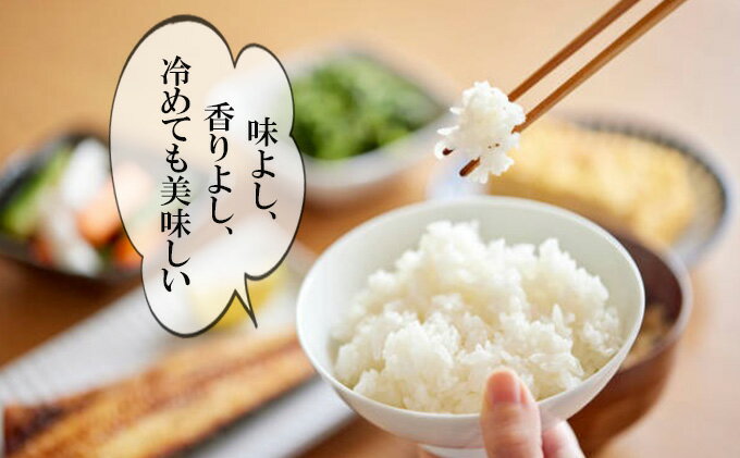 【ふるさと納税】【3ヶ月連続定期便】農家直送！新米 令和7年度産 宮城県亘理町産 ひとめぼれ 10kg お米 ライス 白米 精米 ブランド米 ご飯 炭水化物 　お届け：2025年10月中旬から順次発送