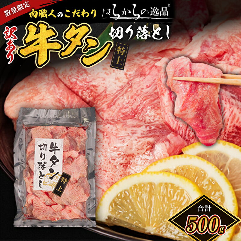 【ふるさと納税】数量限定！訳あり上タン！はらからの逸品 上たん切り落とし 500g　【 バーベキュー BBQ 柔らかい 弾力性 食べ応え 旨味 焼くだけ 簡単 簡単調理 網焼き 】