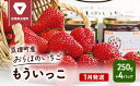 【ふるさと納税】【1月発送】糖度の中に程よい酸味　亘理産おらほのいちご「もういっこ」　【 果物類 スイーツ デザー ト美味しい こだわり 糖度 優しい 甘さ 大粒 】 2