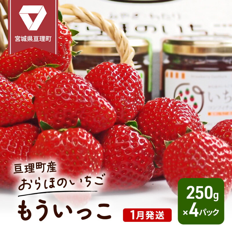 13位! 口コミ数「0件」評価「0」【1月発送】糖度の中に程よい酸味　亘理産おらほのいちご「もういっこ」　【 果物類 スイーツ デザー ト美味しい こだわり 糖度 優しい 甘さ･･･ 