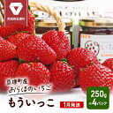 37位! 口コミ数「0件」評価「0」【1月発送】糖度の中に程よい酸味　亘理産おらほのいちご「もういっこ」　【 果物類 スイーツ デザー ト美味しい こだわり 糖度 優しい 甘さ･･･ 