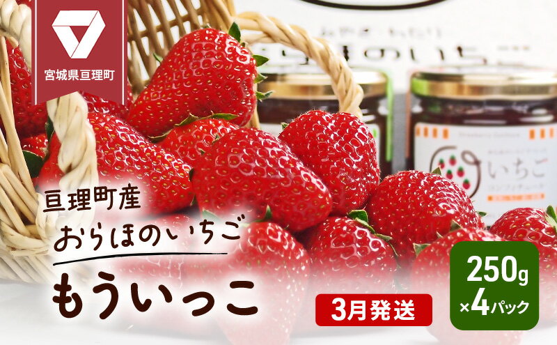 【ふるさと納税】【3月発送】糖度の中に程よい酸味　亘理産おらほのいちご「もういっこ」　【 果物類 スイーツ デザー ト美味しい こだわり 糖度 優しい 甘さ 大粒 】