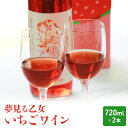 【ふるさと納税】【亘理町いちご産】夢見る乙女2本セット いちごワイン