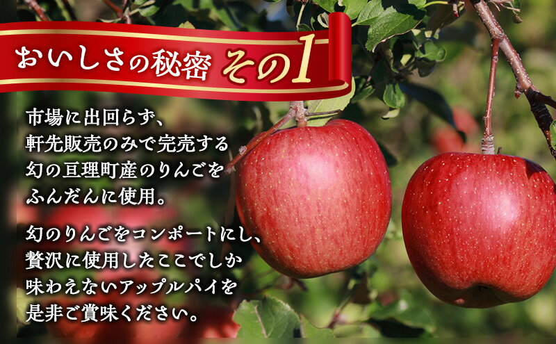 【ふるさと納税】KIBOUのアップルパイ 亘理町産 ふじりんご使用 りんご アップルパイ 3