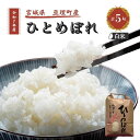 【ふるさと納税】令和7年産新米 ひとめぼれ 5kg 米 亘理町産 お米 精米 白米 ブランド米 単一原料米 5キロ こめ コメ おこめ ご飯 ライス 東北 宮城県産 宮城県産ひとめぼれ 宮城米 宮城 宮城県 亘理町 お届け:2025年10月中旬より順次発送