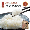 【ふるさと納税】令和7年産新米 ひとめぼれ 10kg 米 亘理町産 お米 精米 白米 ブランド米 単一原料米 5キロ こめ コメ おこめ ご飯 ライス 東北 宮城県産 宮城県産ひとめぼれ 宮城米 宮城 宮城県 亘理町 お届け:2025年10月中旬より順次発送