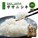【ふるさと納税】令和7年産新米 ササニシキ 10kg 米 亘理町産 お米 精米 白米 ブランド米 単一原料米 5キロ こめ コメ おこめ ご飯 ライス 東北 宮城県産 宮城県産ひとめぼれ 宮城米 宮城 宮城県 亘理町 お届け:2025年10月中旬より順次発送