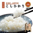【ふるさと納税】令和7年産新米 コシヒカリ 10kg 米 亘理町産 お米 精米 白米 ブランド米 単一原料米 5キロ こめ コメ おこめ ご飯 ライス 東北 宮城県産 宮城県産ひとめぼれ 宮城米 宮城 宮城県 亘理町 お届け:2025年10月中旬より順次発送