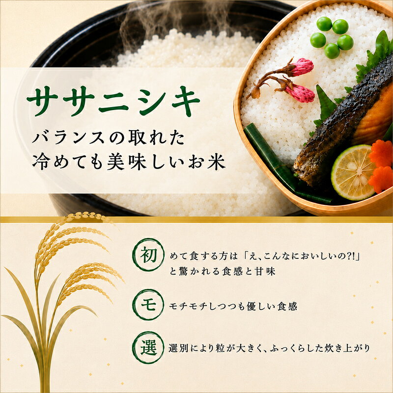 【ふるさと納税】白米 【定期便】 5kg 2ヶ月連続 10kg 令和8年産 ササニシキ 精米 ブランド米 単一原料米 宮城県亘理町産 宮城米 お米 米 こめ コメ ご飯 ライス 東北　お届け：2026年10月中旬より順次発送 f043613-watari-10000549 宮城県亘理町 サンプル画像3