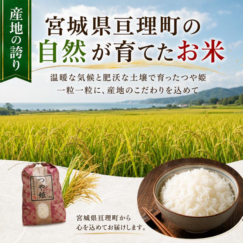 【ふるさと納税】定期便12回 つや姫 5kg×2 令和8年産 新米 先行予約 宮城県産 米 ...