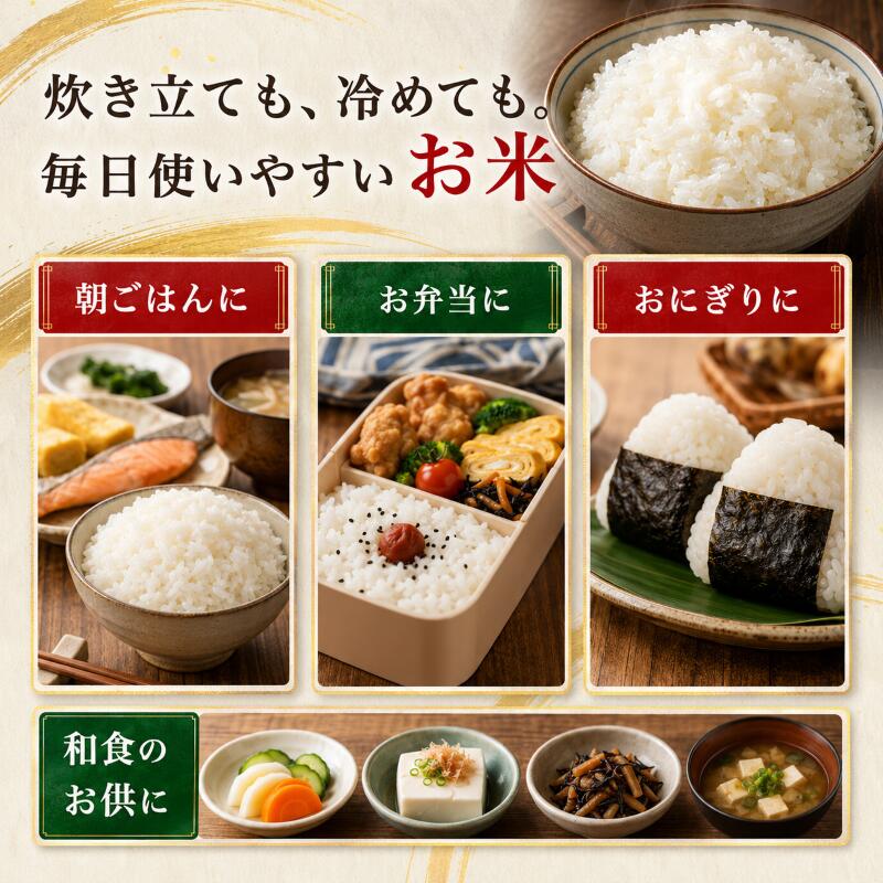 【ふるさと納税】定期便12回 つや姫 5kg×2 令和8年産 新米 先行予約 宮城県産 米 ...