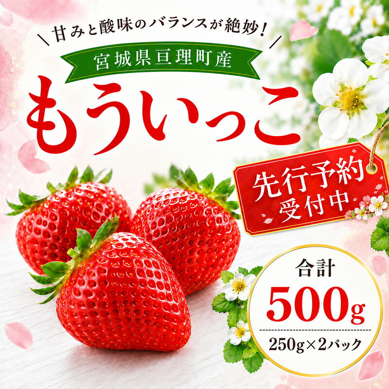 【ふるさと納税】いちご イチゴ 苺 先行予約 1月発送 家庭用 もういっこ 宮城県亘理町産 500g 250g×2パック 小分け 冷蔵配送 国産 フルーツ 返礼品　お届け：2027年1月1日～2027年5月31日