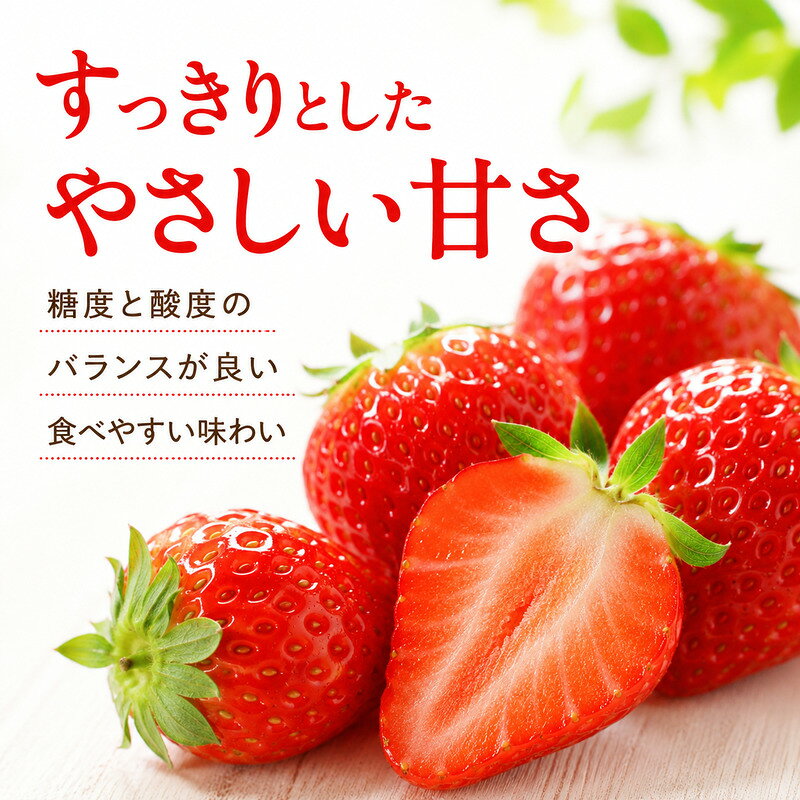 【ふるさと納税】いちご イチゴ 苺 先行予約 1月発送 家庭用 もういっこ 宮城県亘理町産 500g 250g×2パック 小分け 冷蔵配送 国産 フルーツ 返礼品　お届け：2027年1月1日～2027年5月31日 f043613-watari-10000575 宮城県亘理町 サンプル画像3