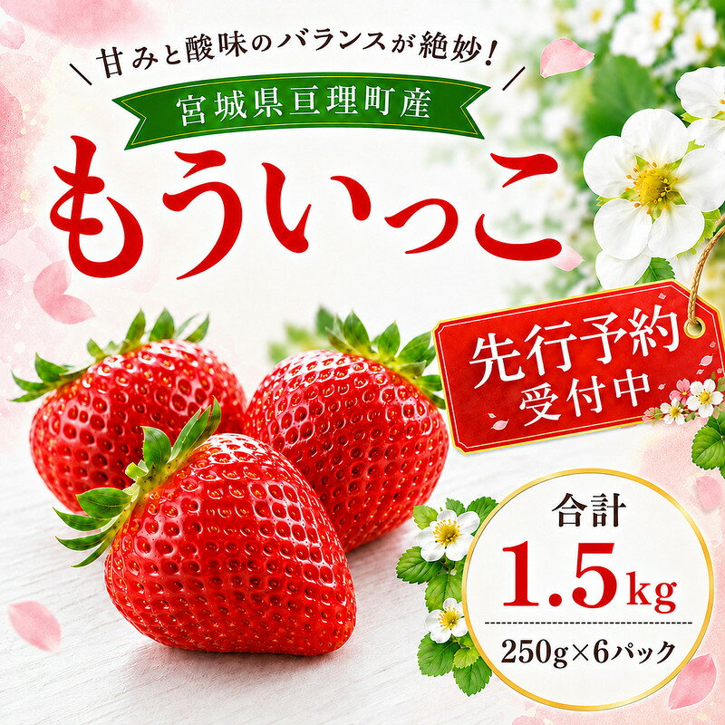 【ふるさと納税】いちご イチゴ 苺 先行予約 1月発送 家庭用 もういっこ 宮城県亘理町産 1.5kg 250g×6パック 小分け 冷蔵配送 国産 フルーツ 返礼品　お届け：2027年1月1日～2027年5月31日