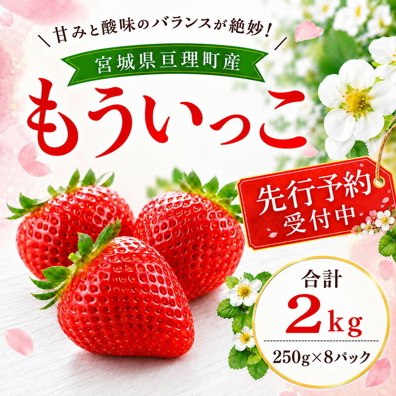 【ふるさと納税】いちご イチゴ 苺 先行予約 1月発送 家庭用 もういっこ 宮城県亘理町産 2kg 250g×8パック 小分け 冷蔵配送 国産 フルーツ 返礼品　お届け：2027年1月1日～2027年5月31日