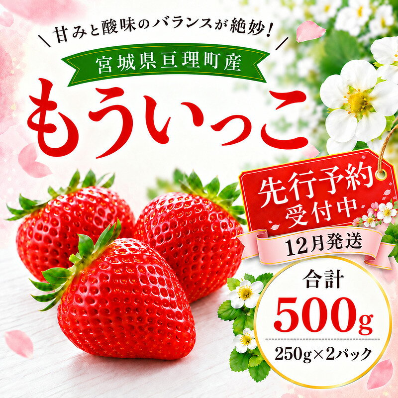 【ふるさと納税】いちご イチゴ 苺 先行予約 12月発送 家庭用 もういっこ 宮城県亘理町産 500g 250g×2パック 小分け 冷蔵配送 国産 フルーツ 返礼品　お届け：2026年12月1日～12月31日