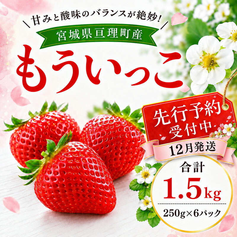 【ふるさと納税】いちご イチゴ 苺 先行予約 12月発送 家庭用 もういっこ 宮城県亘理町産 1500g 250g×6パック 小分け 冷蔵配送 国産 フルーツ 返礼品　お届け：2026年12月1日～12月31日