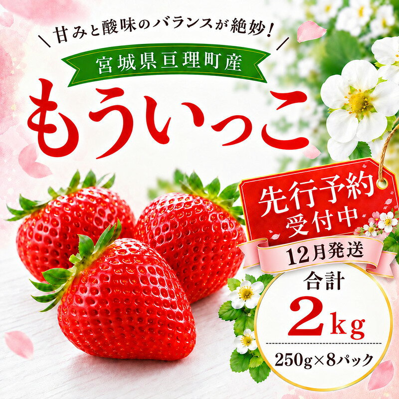 【ふるさと納税】いちご イチゴ 苺 先行予約 12月発送 家庭用 もういっこ 宮城県亘理町産 2000g 250g×8パック 小分け 冷蔵配送 国産 フルーツ 返礼品　お届け：2026年12月1日～12月31日